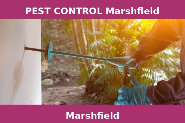 PEST CONTROL Marshfield